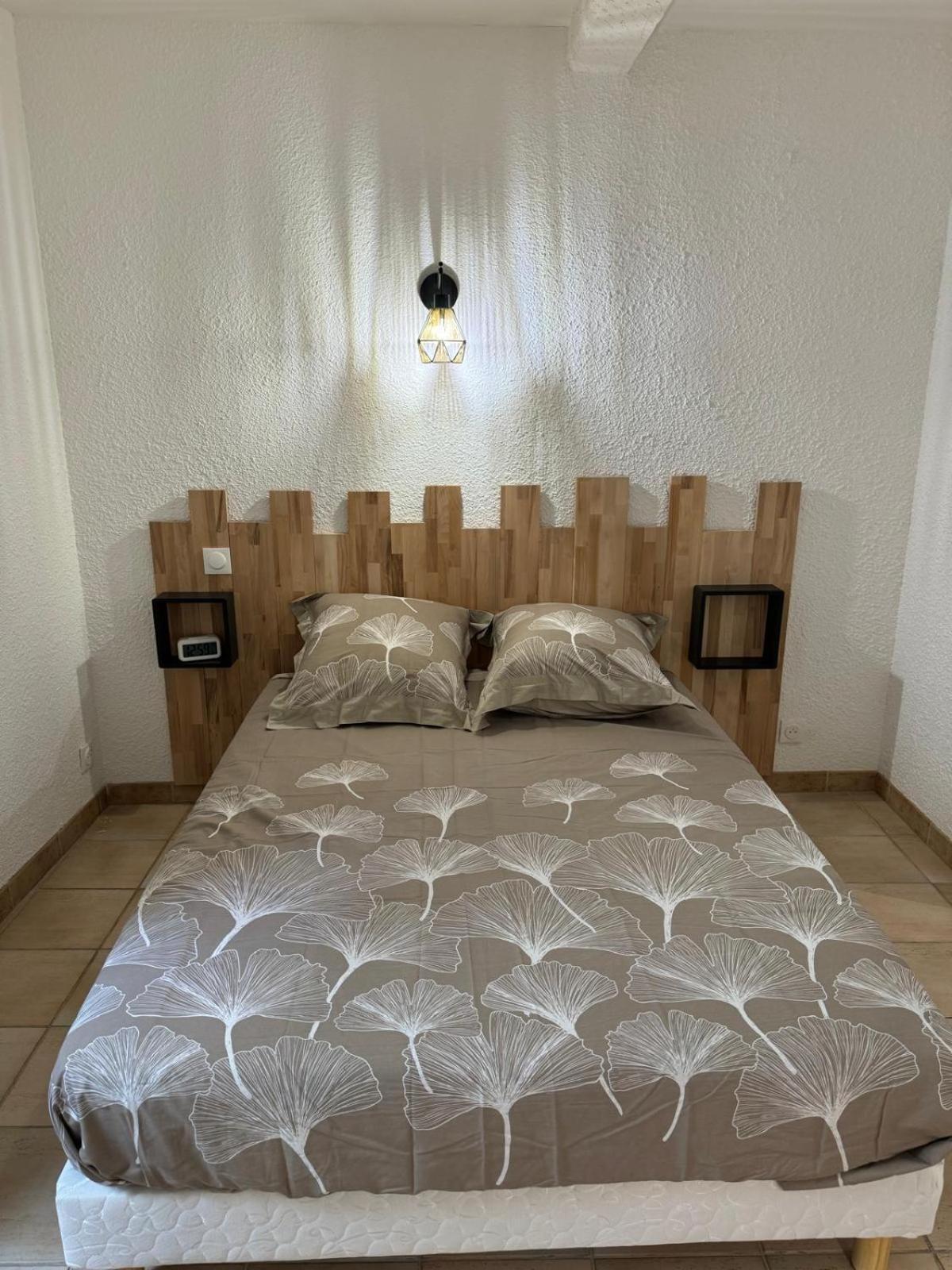 Charmant Appartement En Hypercentre De Castelnaudary Eksteriør bilde